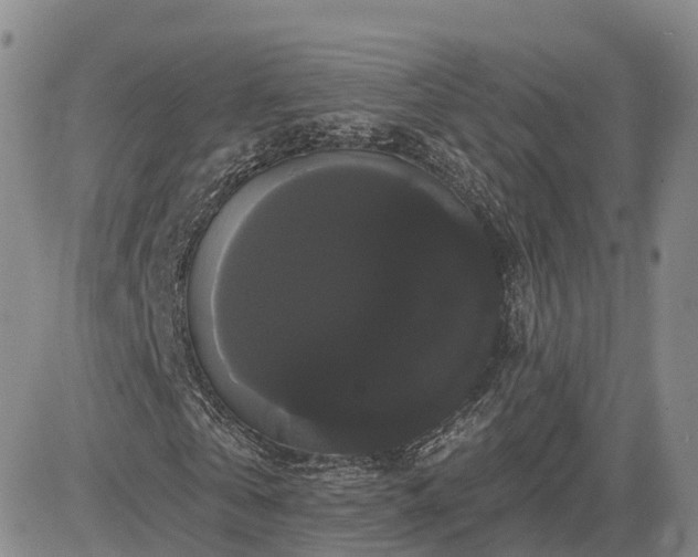 X0000085220769200703161244