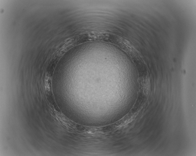 X0000085220770200703161244