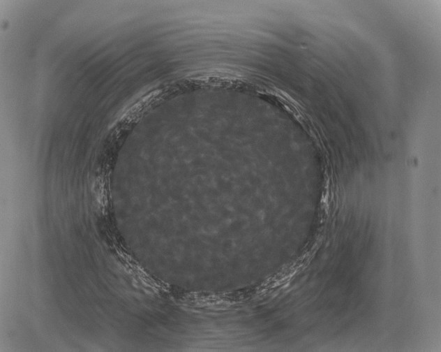 X0000085220774200703161244