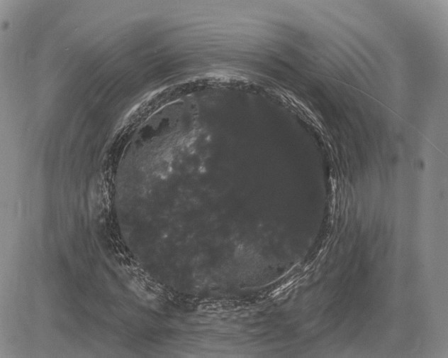 X0000085220776200703161244