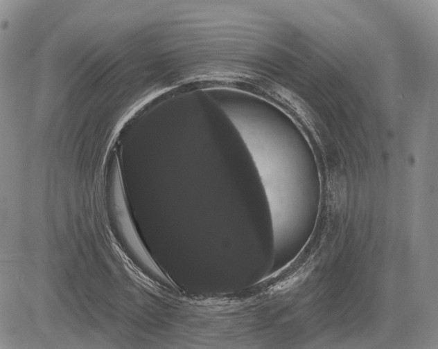 X0000085220779200703161244