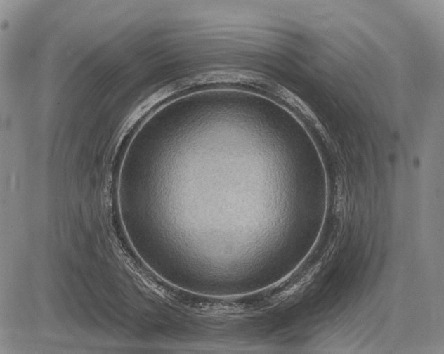 X0000085220786200703161243