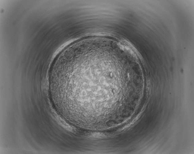 X0000085220787200703161243