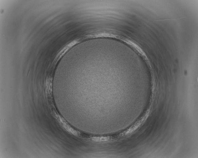 X0000085220793200703161243