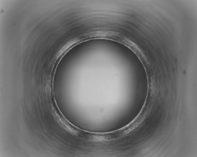 X0000085220794200703161243