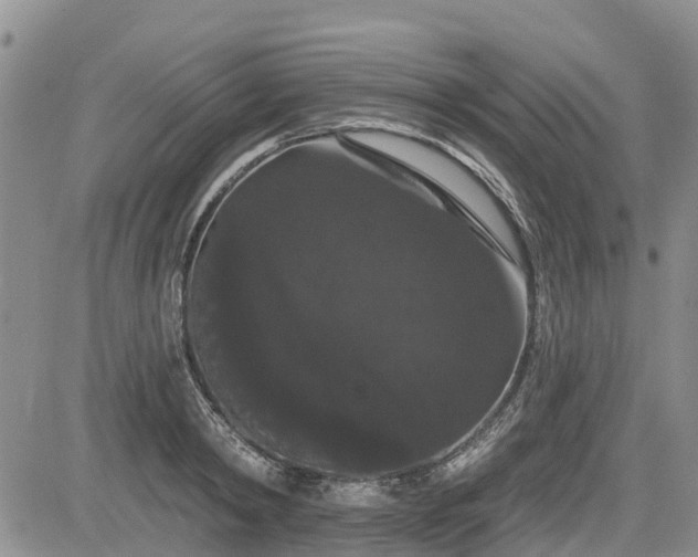 X0000085220798200703161243