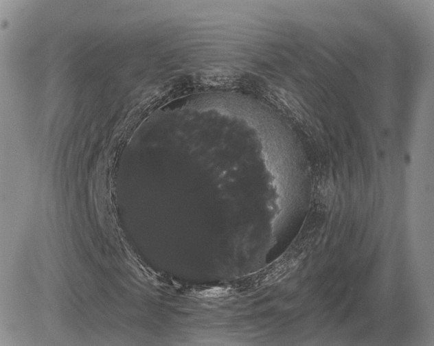 X0000085220817200703161242