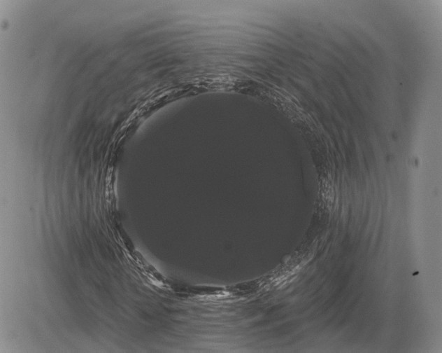 X0000085220818200703161242