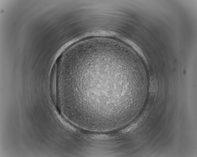 X0000085220837200703161243