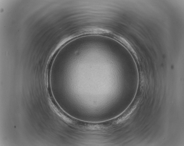 X0000085220843200703161243