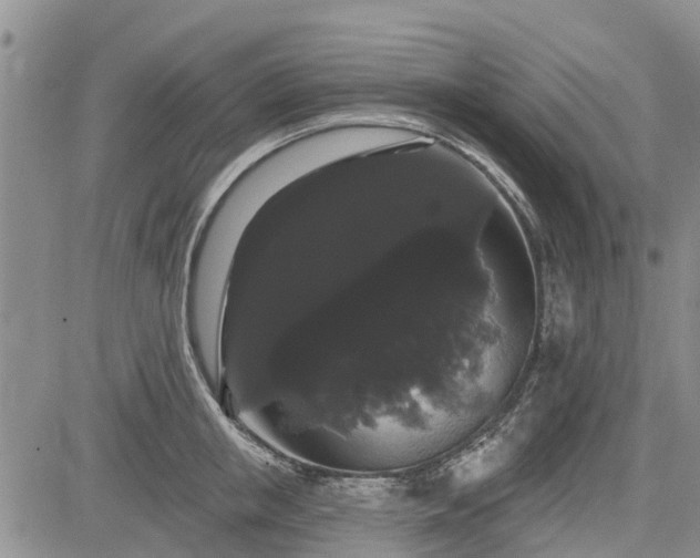 X0000085220853200703161243