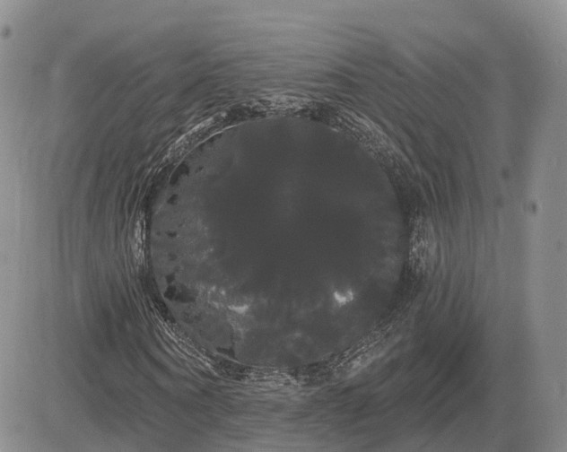 X0000085220866200703161242