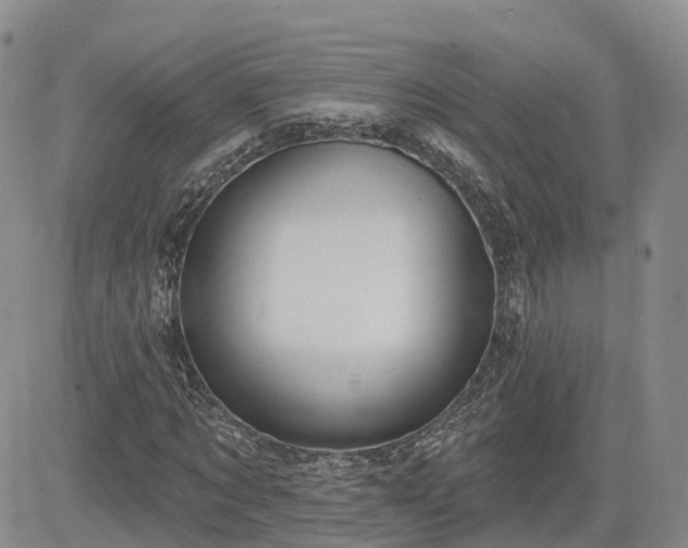 X0000085220869200703161242
