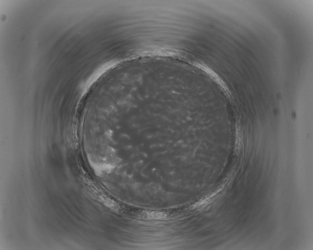 X0000085220878200703161242