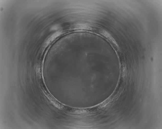 X0000085220882200703161242