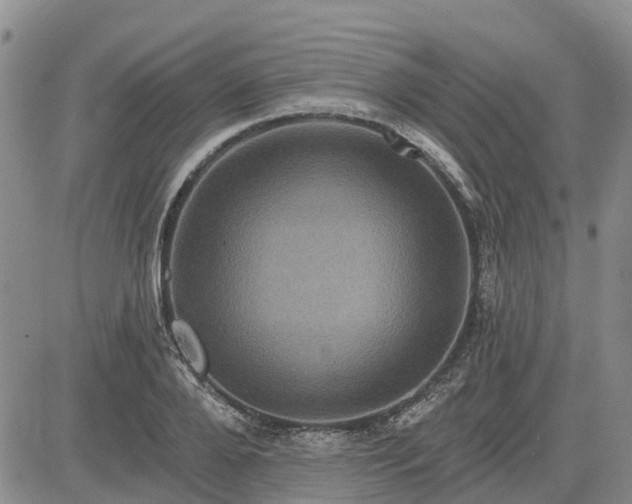 X0000085220888200703161242
