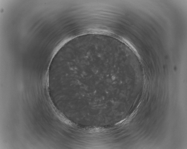 X0000085220891200703161242