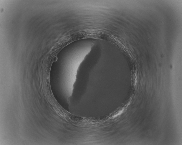 X0000085220913200703161241