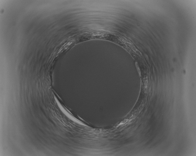 X0000085220916200703161241