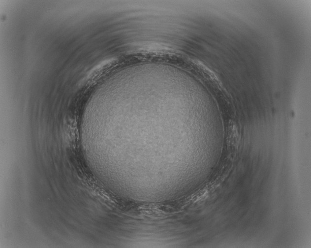 X0000085220918200703161241