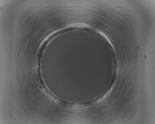 X0000085220923200703161241