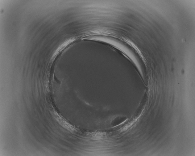 X0000085220930200703161241