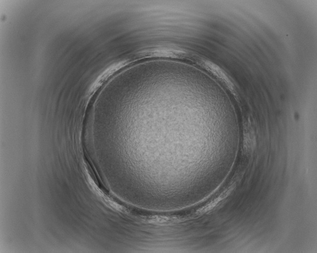 X0000085220938200703161241