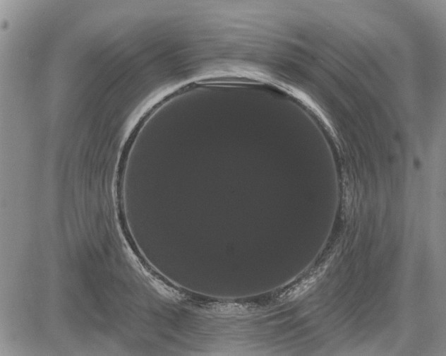 X0000085220943200703161241