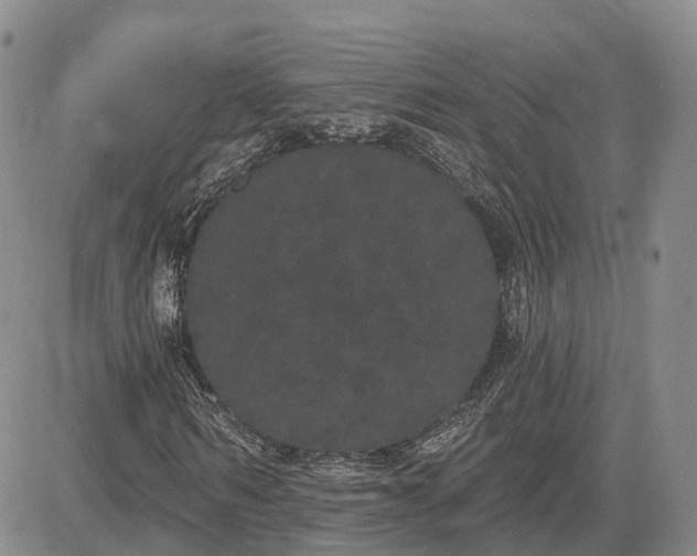 X0000085220962200703161241