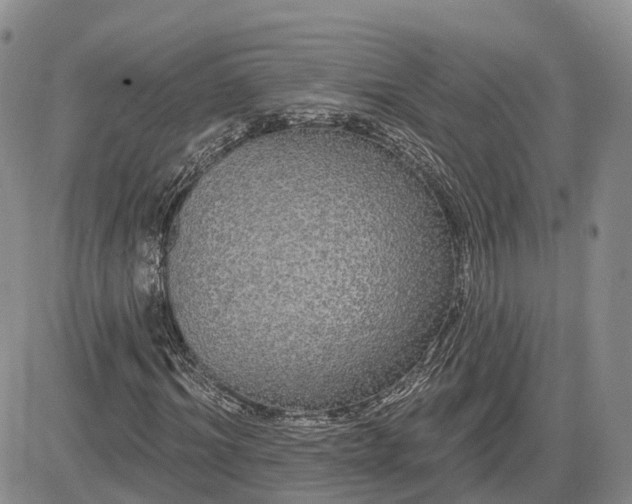 X0000085220964200703161240