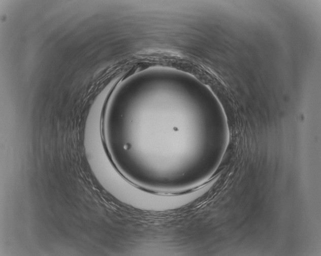 X0000085220965200703161240