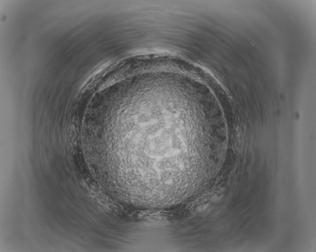 X0000085220967200703161240