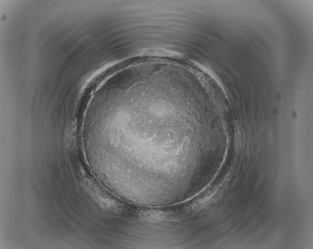 X0000085220971200703161240