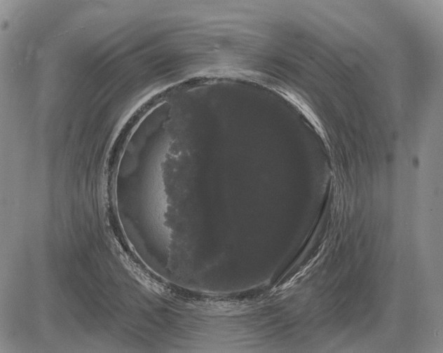 X0000085220976200703161240