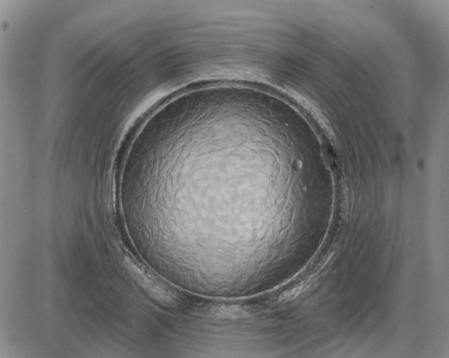 X0000085220982200703161240
