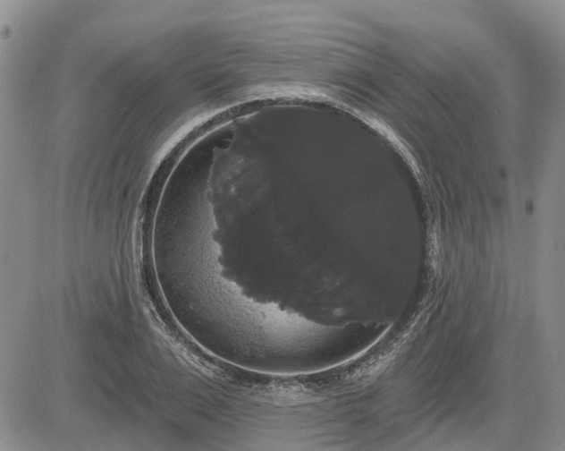 X0000085220983200703161240