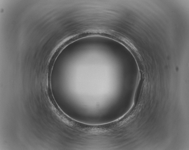 X0000085220984200703161240