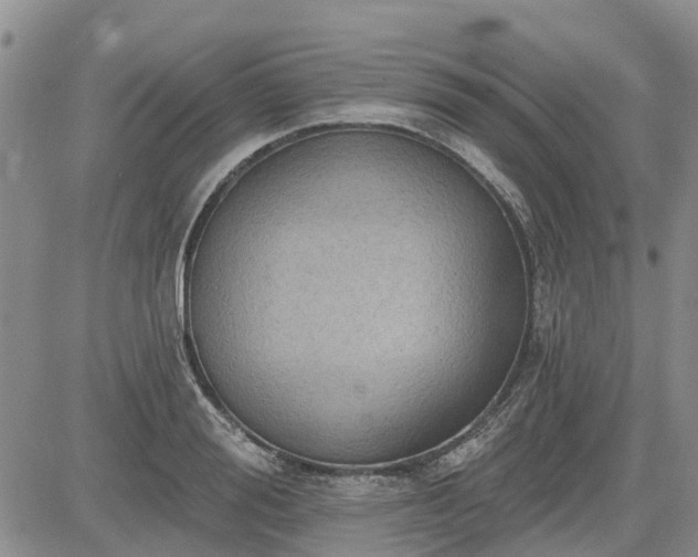 X0000085220988200703161240