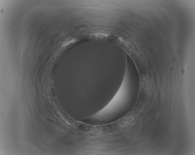 X0000085221009200703161239