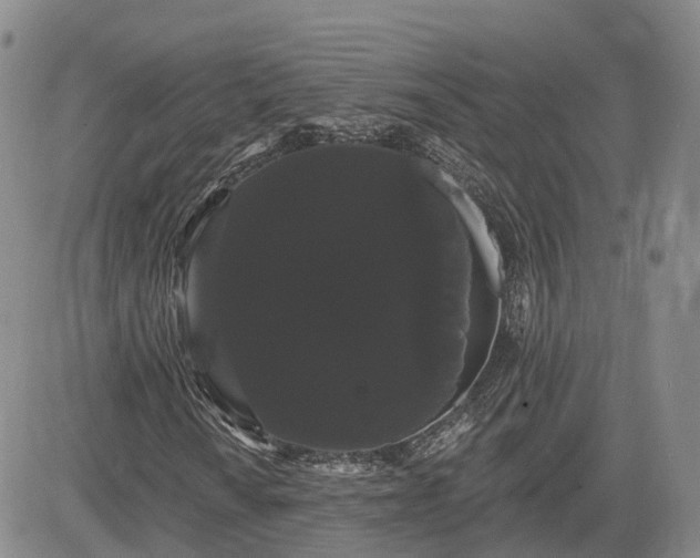 X0000085221010200703161239