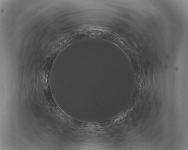 X0000085221013200703161239