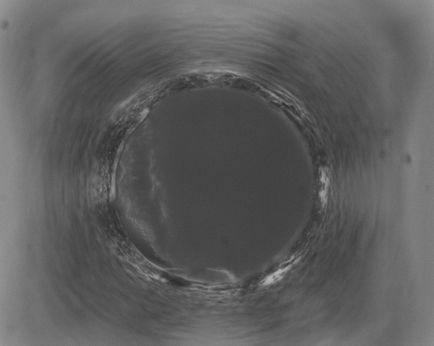 X0000085221014200703161239
