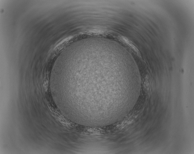 X0000085221015200703161239