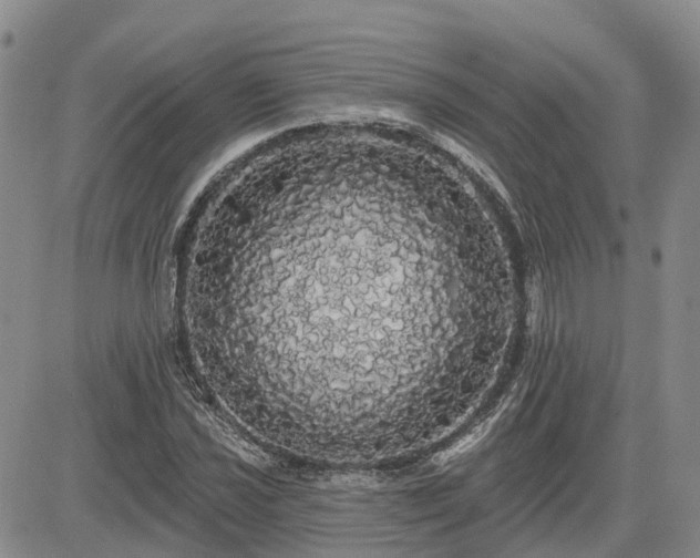X0000085221021200703161239