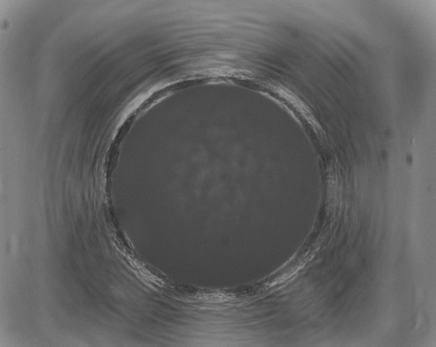 X0000085221023200703161239