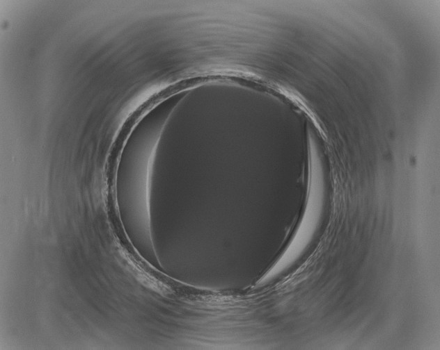 X0000085221024200703161239