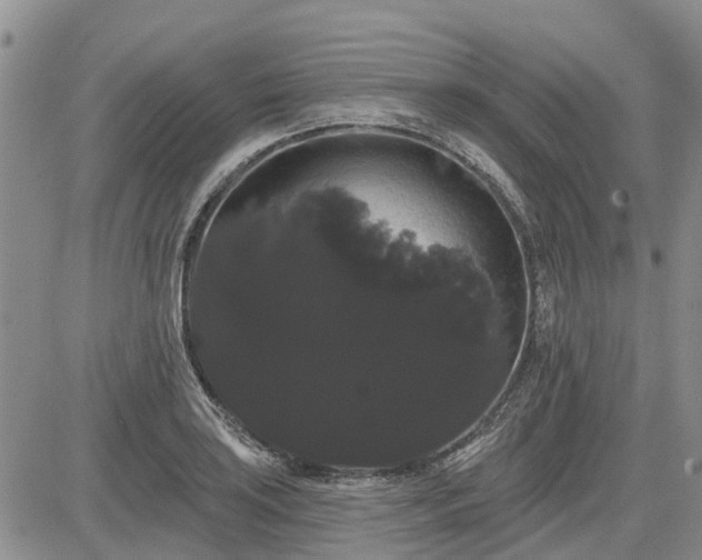 X0000085221035200703161239