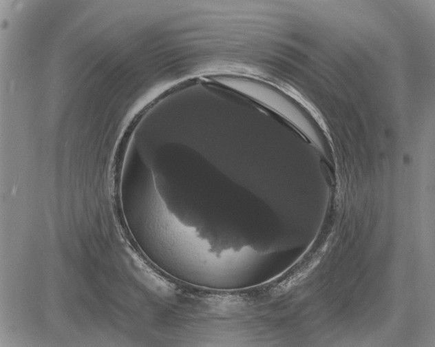 X0000085221037200703161239