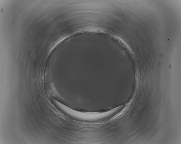X0000085221065200703161239