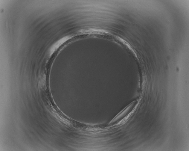 X0000085221066200703161239